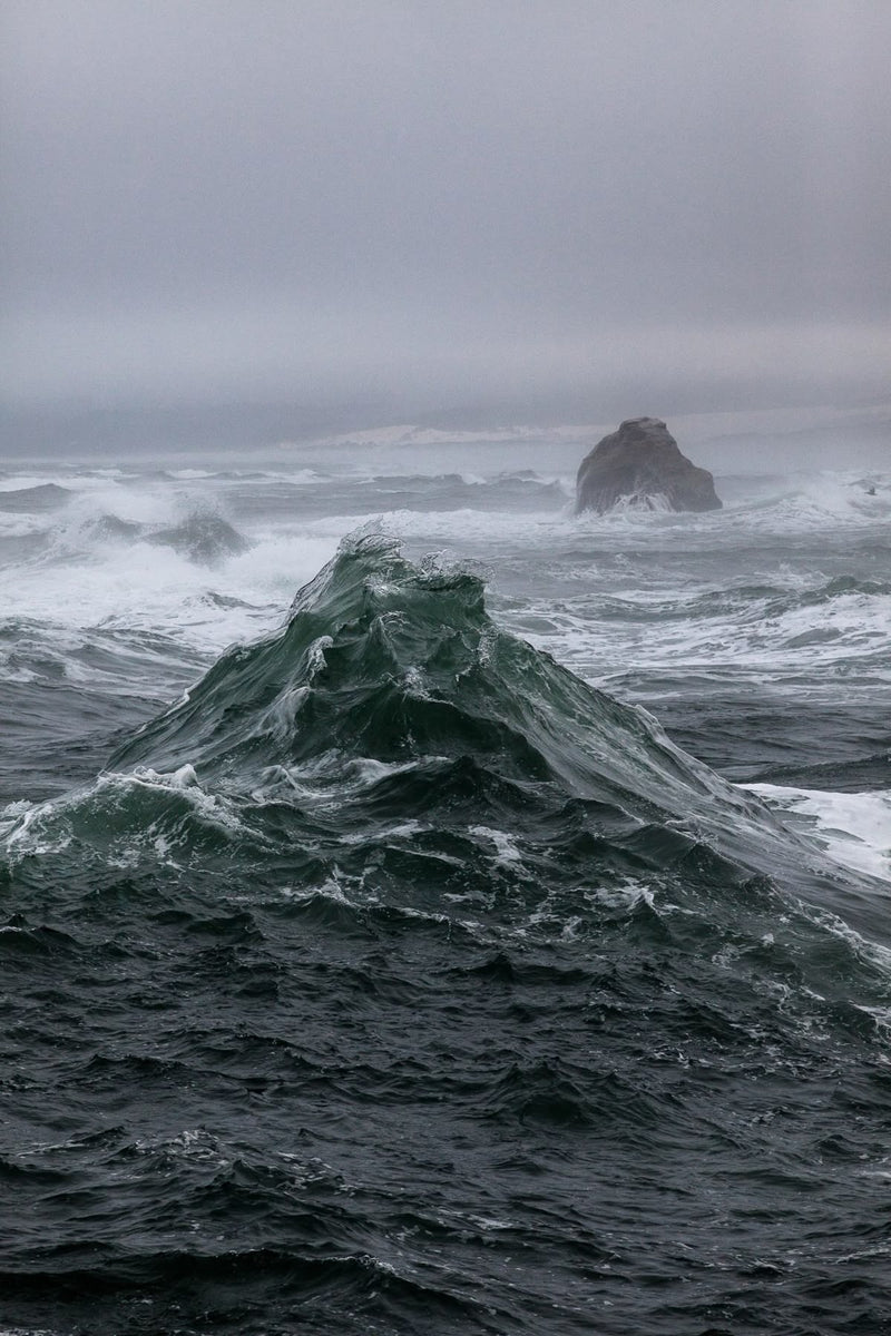 Sea Wood