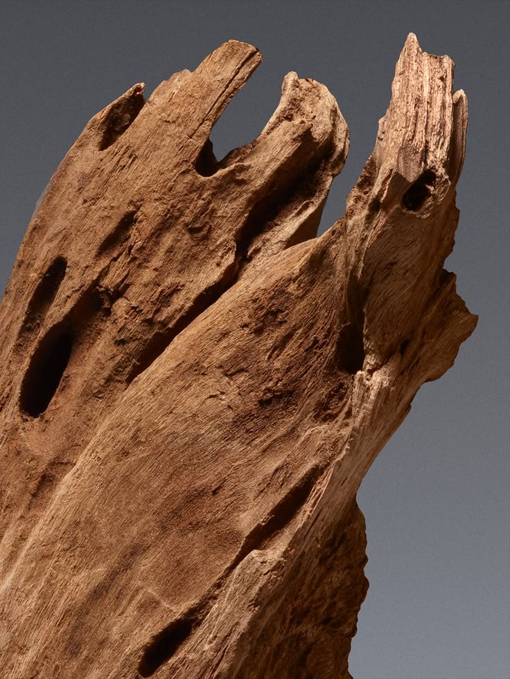 Cedarwood