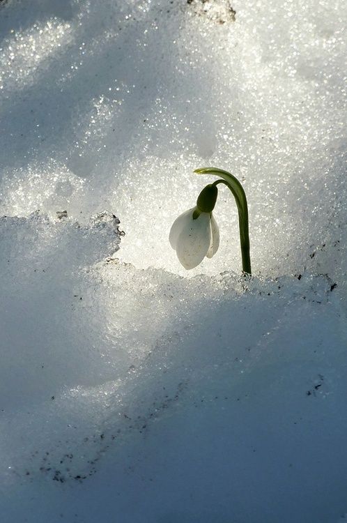 Cold Spring